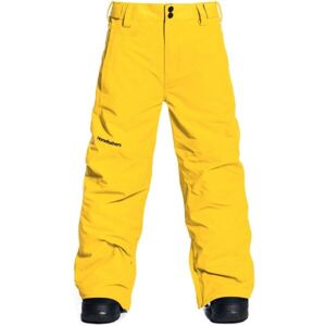 Horsefeathers REESE YOUTH PANTS Chlapecké lyžařské/snowboardové kalhoty, žlutá, velikost XS